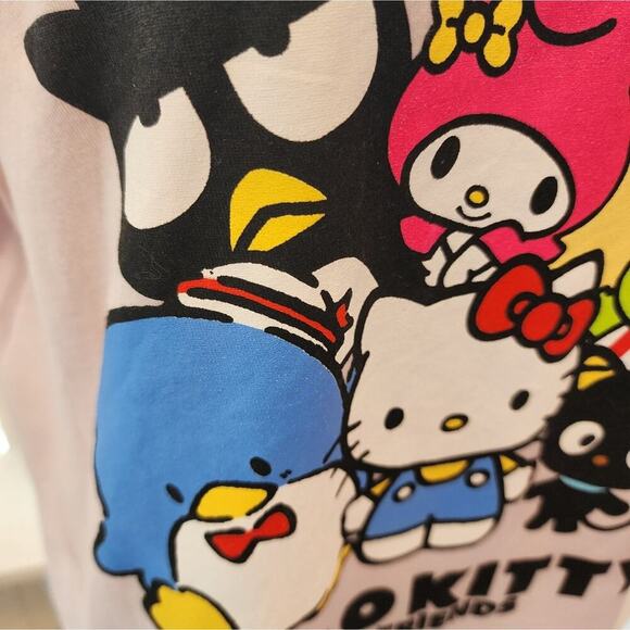 SAN RIO HELLO KITTY PINK OFFICIALLY LICENSED TEE SIZE LARGE - Picture 4 of 5